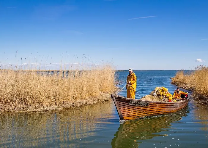 Kassariotsa Holiday House Дом отдыха Kassari